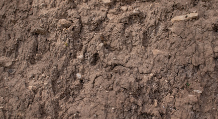 Light brown clay soil texture