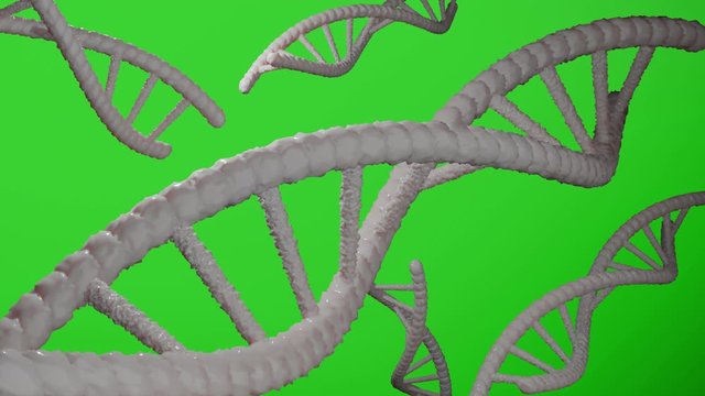 3D Rendering of rotating DNA on green screen background, Seamless looping.