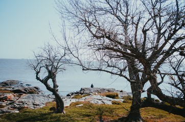 Colonia Del Sacramento, Uruguay - September 10, 2018: A lonely man sitting over rocks in a  peaceful and quiet view over Rio de La Plata in the historical site of Colonia del Sacramento.