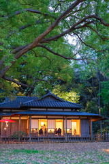 東京都文京区駒込のライトアップされた日本庭園の日本家屋