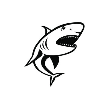 Shark logo vector mascot design