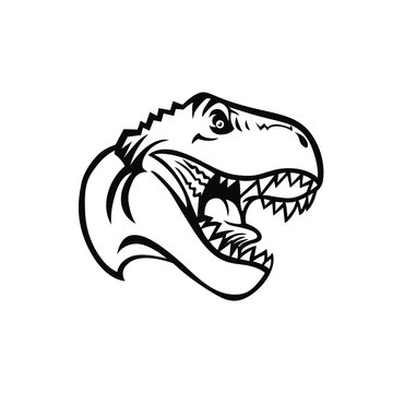 T Rex Head Images  Browse 10671 Stock Photos Vectors and Video  Adobe  Stock
