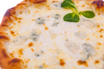 Delicious fresh pizza with cream on white background