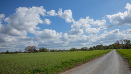 Yellow background of brick wall 