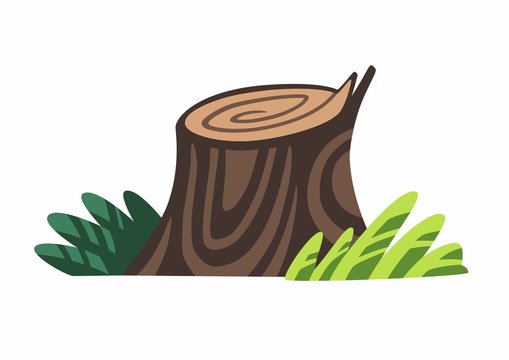 Nice old tree stump with grass isolated on white background vector. Cute catroon stylized forest clip art, stock flat illustration.