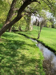Wonderful morning in the park: greenfield, river, and fresh air.