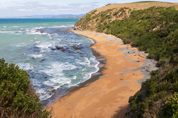 Coastline at Bushy beach in New Zealand.