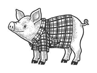 Pig in plaid shirt sketch engraving vector illustration. T-shirt apparel print design. Scratch board imitation. Black and white hand drawn image.