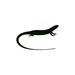 Green lizard icon for web design isolated on white background