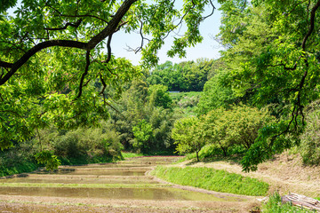【ふるさとイメージ】神奈川県 寺家ふるさと村