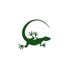 Green lizard icon for web design isolated on white background