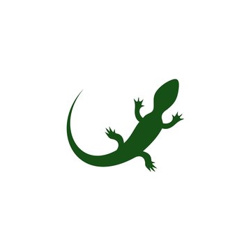 Green lizard icon for web design isolated on white background