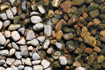 Plenty of colorful quite smooth pebble stones by a seashore. Some of the rocks are wet and some dry. Closeup nature photo. Sunny summer day. Calm, relaxing, zen-like photo of a lot of rocks.