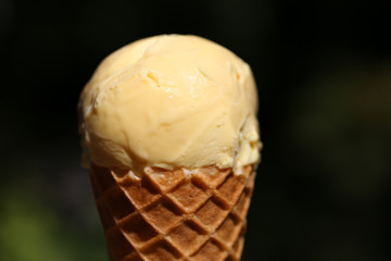 Ball of orange ice cream on top of a waffle cone. Delicious summer season snack usually enjoyed outdoors. Soft green park background. Refreshing, delicious fruit flavored ice cream in a color closeup.