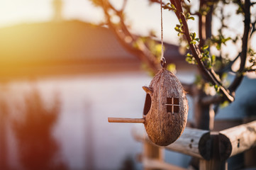 Birdhouse on the tree. A feeder attached to a tree trunk. Bird feed on tree by sunset.