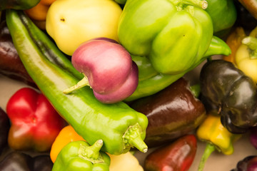 fruits d'été poivrions, courgettes, piments