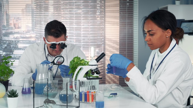 Diverse Research Specialists Working With Organic Materials In Modern Bright Chemistry Lab Using Different Instruments And Methods Of Experiment