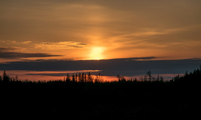 Fototapeta premium black tree silhouettes on a colorful sunset sky