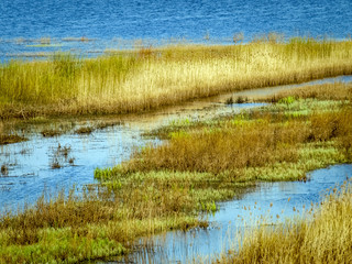 bright landscape with lake shore, flooded lake meadows, first spring greenery, wallpaper