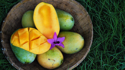 Mango tropical fruit in wooden basket put on green leaf background
