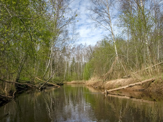 the bank of a small wild river, the first spring greenery, reflections in the river water
