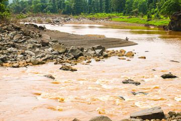 Mountain river landscape. river flowing in the forest.