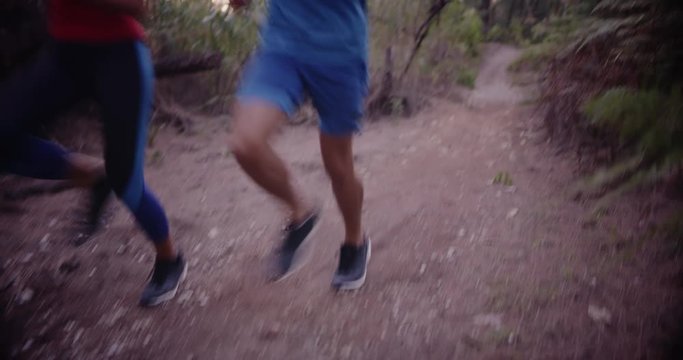 Couple running together in forest
