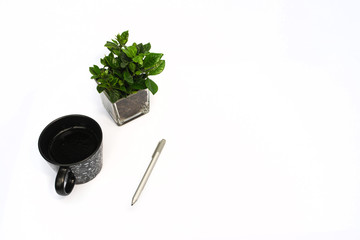 Small green plant with pen and cup on white background