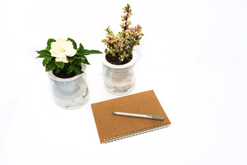 Small green plant with pen on notebook on white background