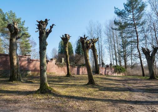 red brick wall witj entrance doot to country cemetery at small village Marenicky in luzicke hory, Lusatian Mountains, early spring, blue sky