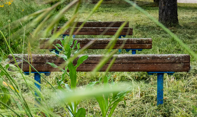 Perpectiva de vigas de madera en el campo