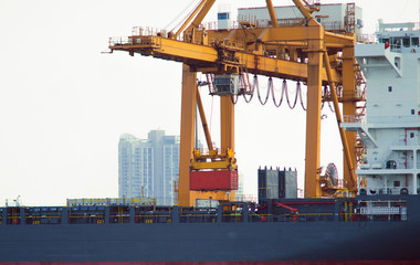 Large cranes used to lift containers from cargo ships.