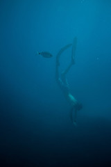 Naklejka premium Diving in clear water