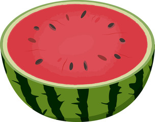 Vector illustration of watermelon cut in half.