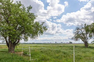 Empty paddock in a lush green spring pasture or agricultural field under a cloudy blue sky