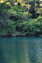 3 Aug 2008 Shing Mun Reservoir. Country Park, Hong Kong