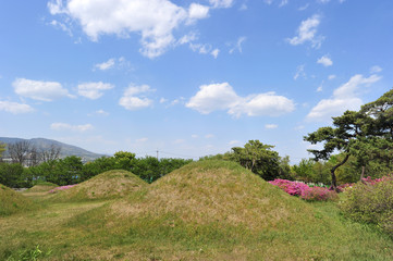 Ancient Tombs at the Silla peroid in Sinsang-ri, Gyeongsan-si, Gyeongsangbuk-do, South Korea.