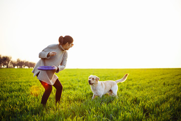 Cheerful and happy dog labrador retriever plays with his young woman owner on a green field on the...