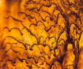 metal residues leaking inside an oil bottle
