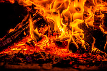 A few birch logs burning in the fireplace