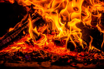 A few birch logs burning in the fireplace