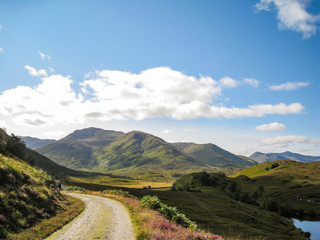 Glen Affric on a sunny day in the Highlands of Scotland - obrazy, fototapety, plakaty
