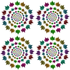 Circle shape design with colored maple leaves. Creative tree leaf isolated for textile pattern.