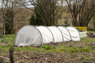 Frame collapsible mini greenhouses installed in the vegetable garden