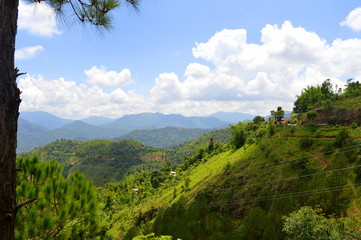 Naklejka premium Beautiful landscape with hills, clouds, and pine tree