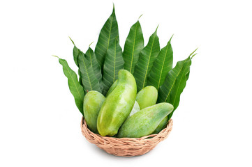 Fresh green raw mangoes fruit in rattan basket with green leaves isolated on white background.