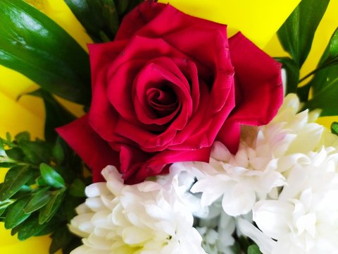 Beautiful bouquets of white chrysanthemums and red roses with green leaves in yellow packaging.