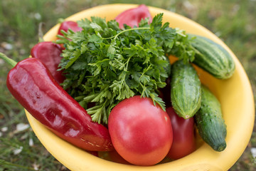 fresh vegetables on a wooden table. fresh vegetables on a plate