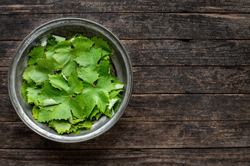 Many grape leafs on the wooden rustic table