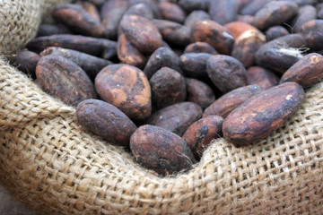 Coffe Beans in a sack